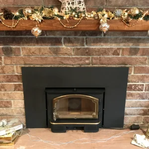 wood stove insert in Virginia Beach, VA
