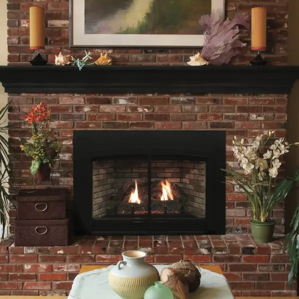 Empire Innsbrook traditional direct vent gas fireplace insert with realistic log set and brick liner